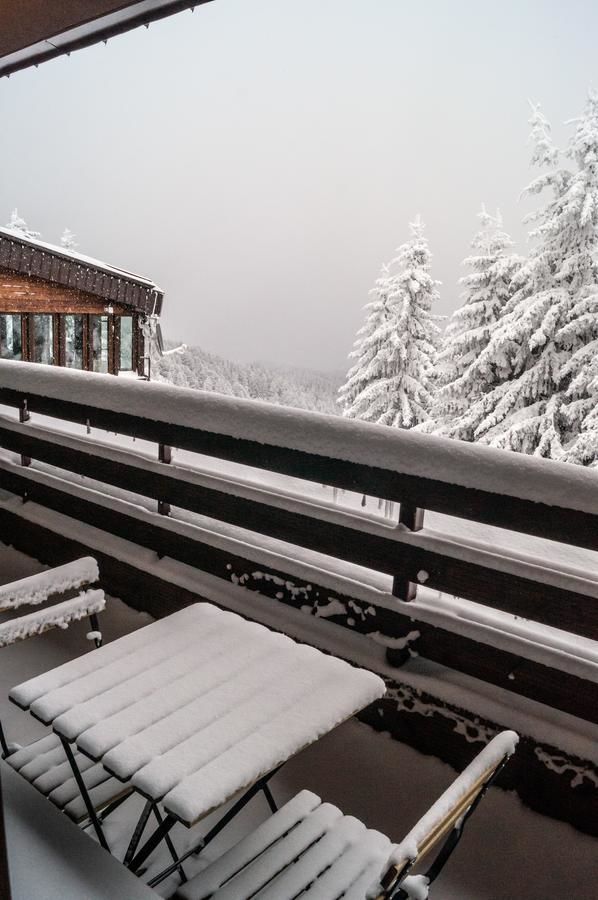 Отель Hotel and SPA Moreni София-38